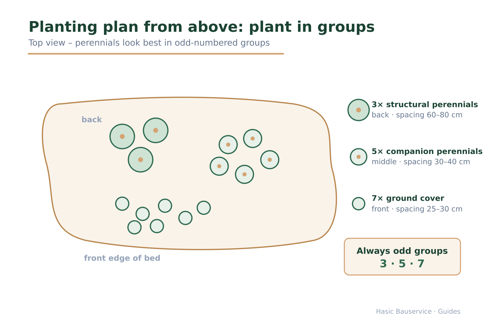 Top view of a bed with planting groups in odd numbers and spacing details.