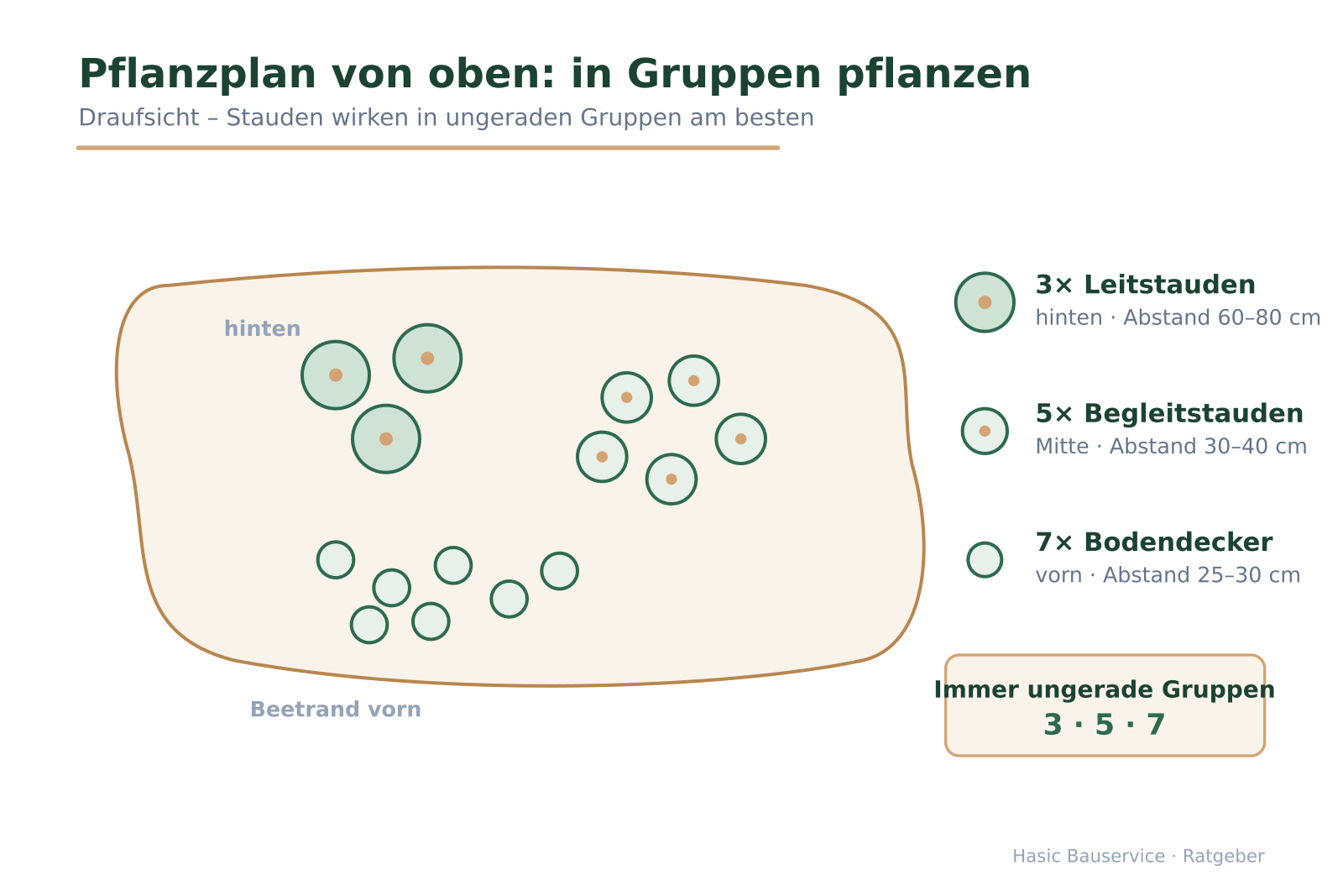 Draufsicht auf ein Beet mit Pflanzgruppen in ungeraden Zahlen und Abstandsangaben.