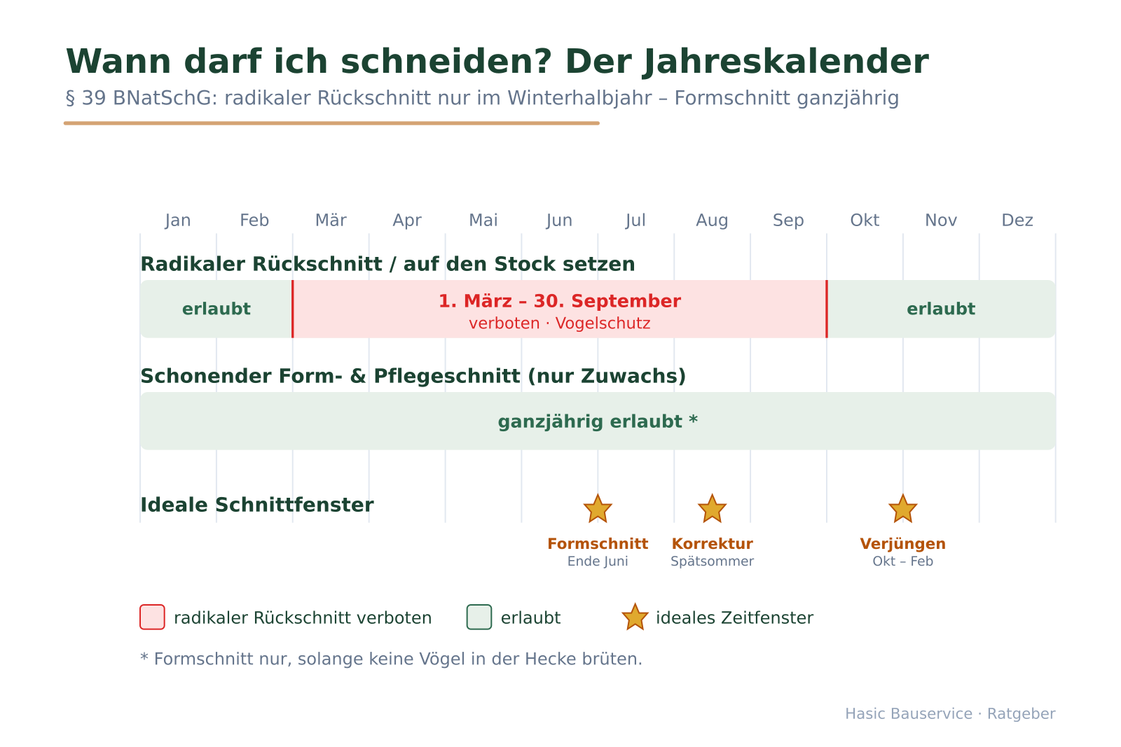 Zwölf-Monats-Zeitleiste mit rot markiertem Verbotszeitraum März–September und Sternen für die idealen Schnittfenster.