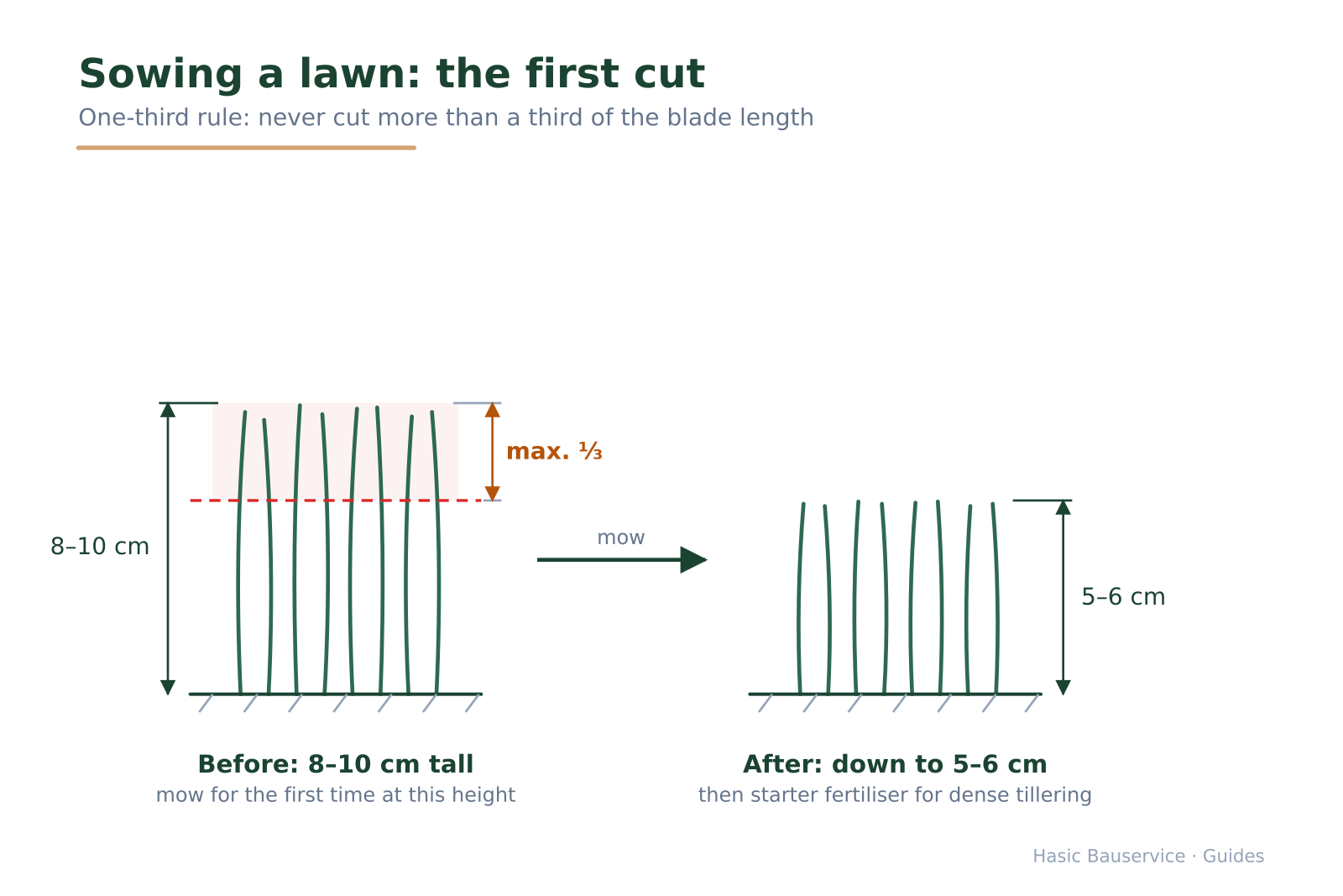 Before-and-after comparison of grass blades with marked cut line and a 'max. one third' note.