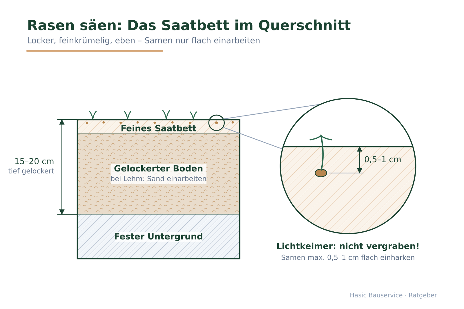 Bodenquerschnitt mit gelockerter Schicht, feinem Saatbett und Lupen-Detail zur maximalen Saattiefe von 0,5–1 cm.