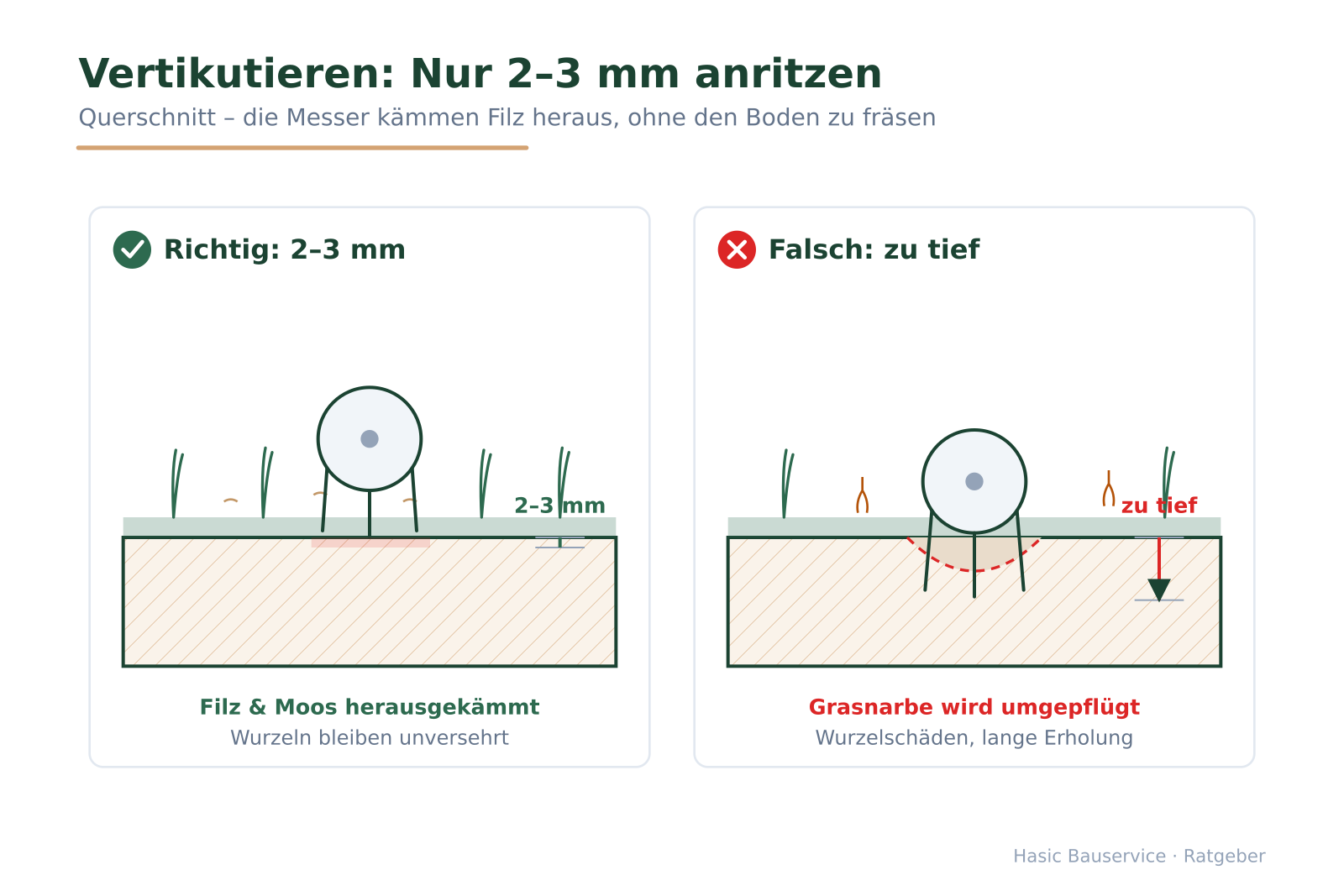 Richtig/Falsch-Querschnitt der Vertikutiermesser: flaches 2–3-mm-Anritzen gegenüber zu tiefem Einschnitt mit Wurzelschäden.