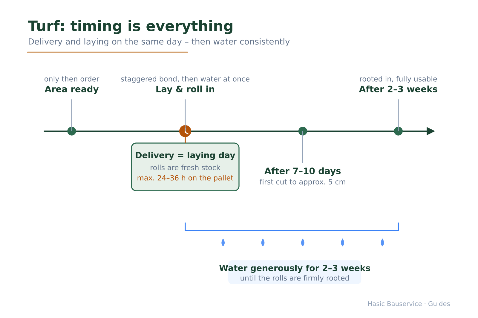 Timeline from the prepared area through delivery and laying day to full load-bearing after 2–3 weeks.