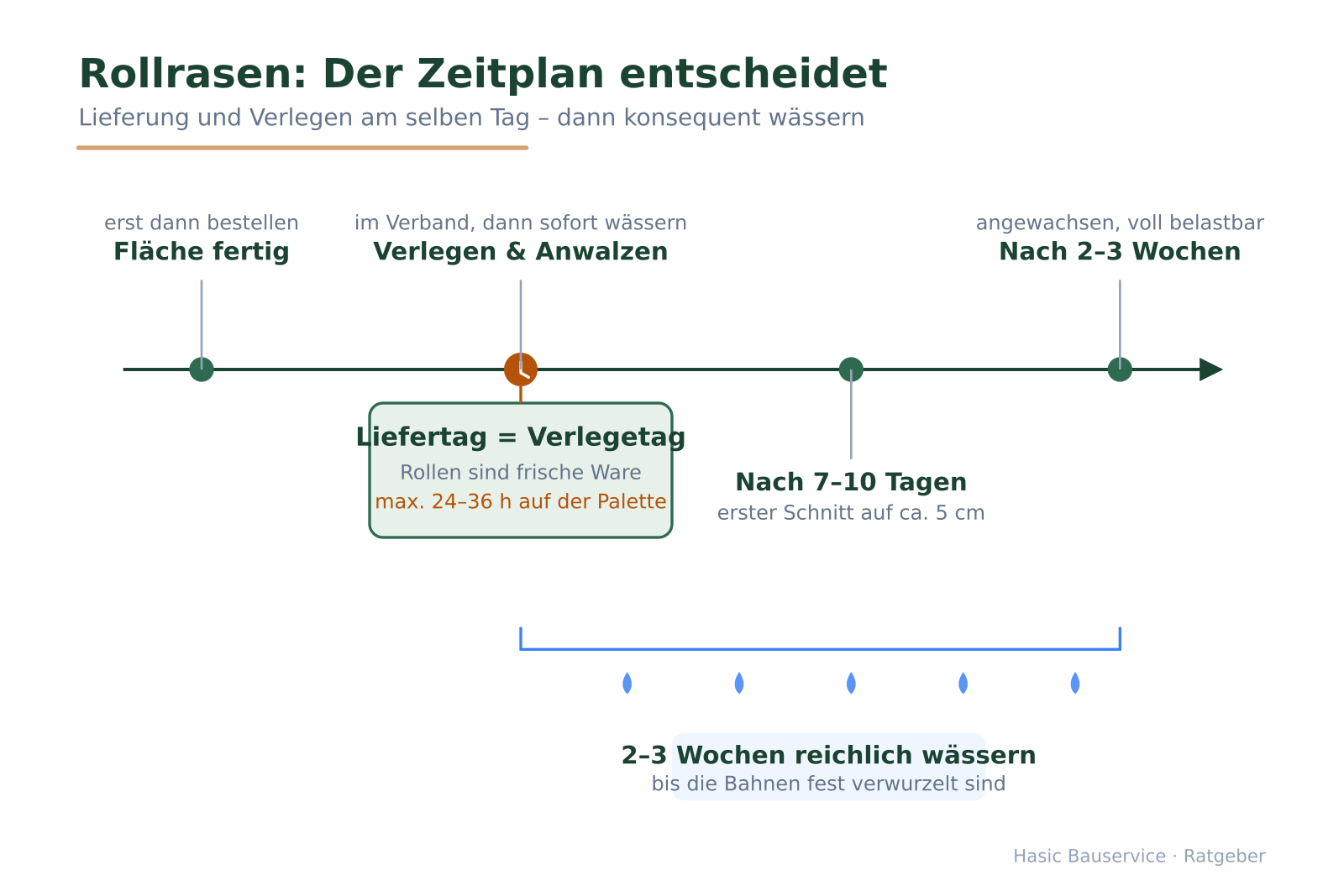 Zeitleiste von der fertigen Fläche über Liefer- und Verlegetag bis zur vollen Belastbarkeit nach 2–3 Wochen.
