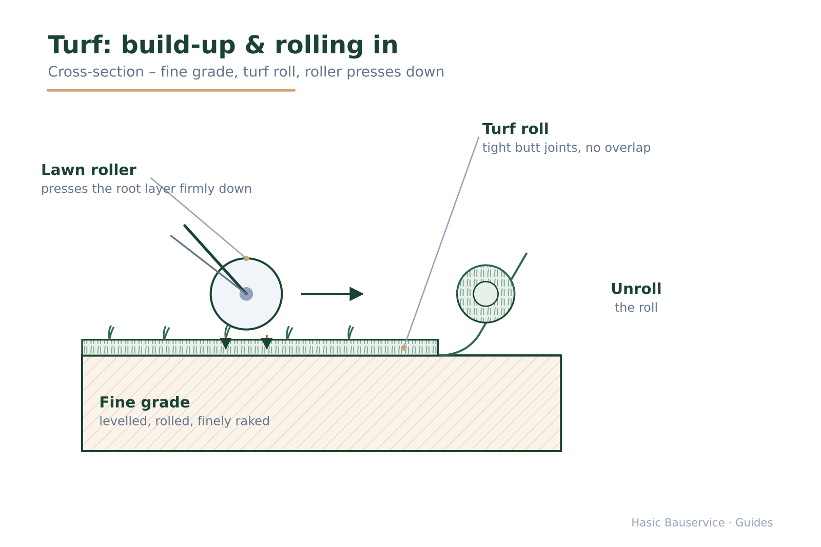 Side view showing the fine grade, an unrolled turf strip, the lawn roller and a rolled-up strip.